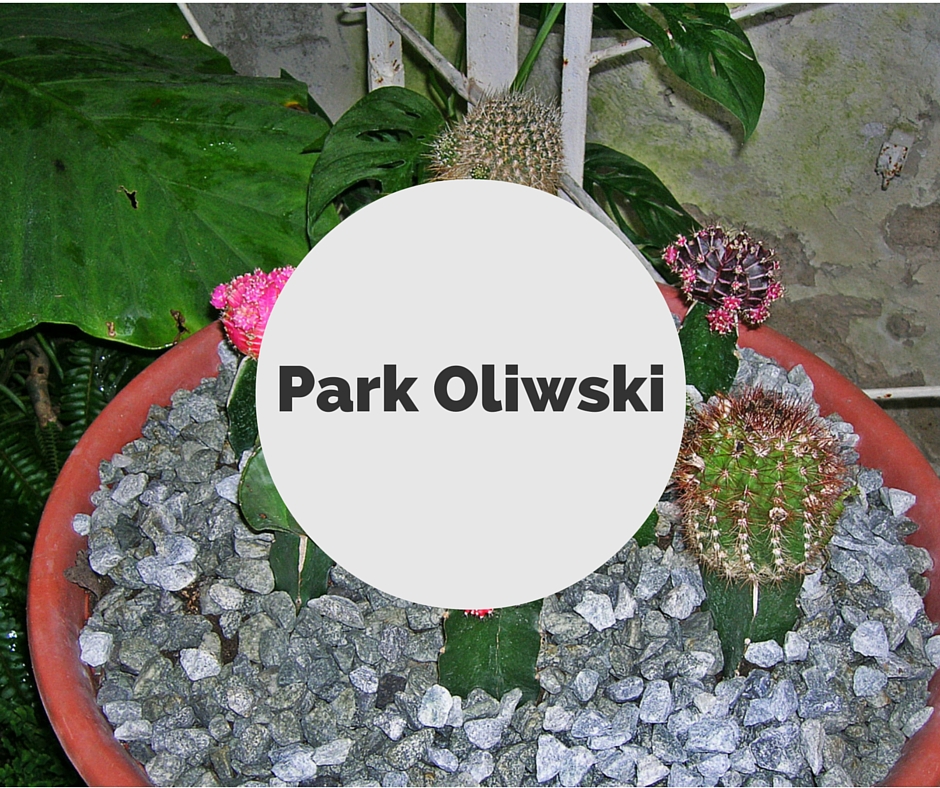 Park Oliwski