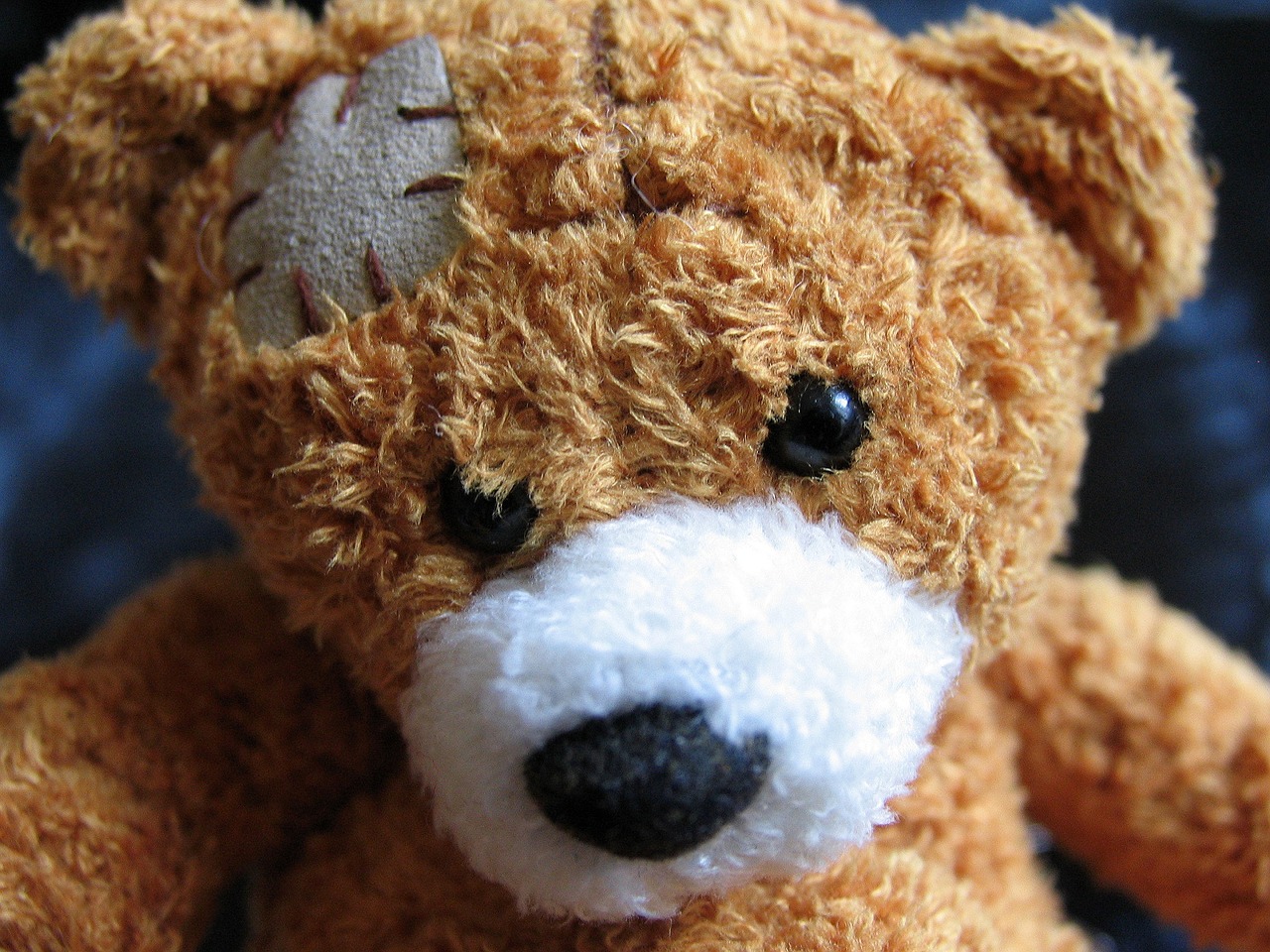 plush-teddy-bear-1082525_1280